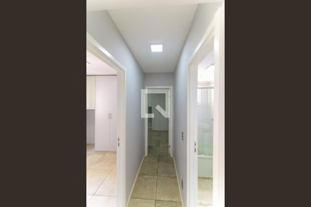 Corredor de apartamento para alugar com 2 quartos, 48m² em Jardim Parque Morumbi, São Paulo