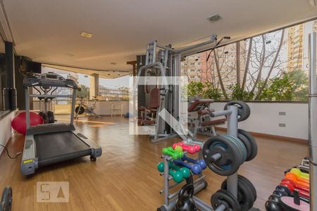 Apartamento para alugar com 258m², 3 quartos e 1 vaga Apartamento para alugar com 258m², 3 quartos e 1 vagaÁrea comum - Academia