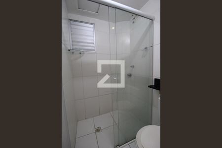 Banheiro Social de apartamento para alugar com 1 quarto, 45m² em Jardim Nova Europa, Campinas