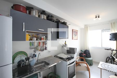 Cozinha de apartamento para alugar com 1 quarto, 27m² em Cambuci, São Paulo