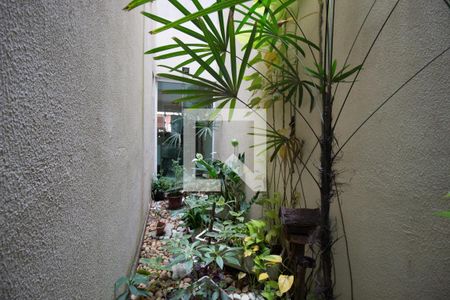 Jardim de Inverno de casa à venda com 3 quartos, 126m² em Jardim Laone, São Paulo