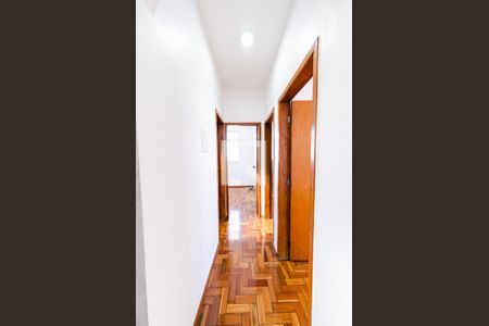 Corredor de apartamento para alugar com 3 quartos, 80m² em Jardim America, Belo Horizonte