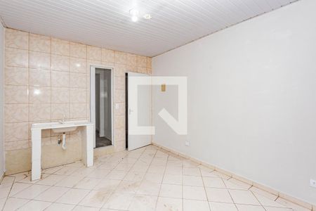 Cozinha de apartamento para alugar com 1 quarto, 25m² em Vila Brasilina, São Paulo