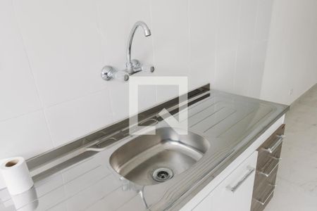 Cozinha Pia de apartamento para alugar com 2 quartos, 60m² em Bom Retiro, São Paulo