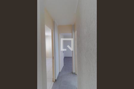Corredor de apartamento para alugar com 2 quartos, 65m² em Vila Padre Manoel de Nobrega, Campinas