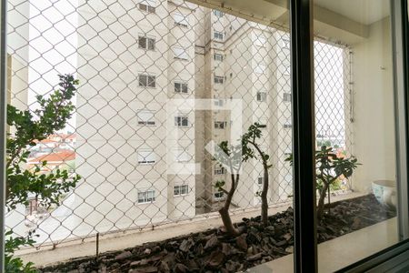 Sala - Vista de apartamento para alugar com 3 quartos, 101m² em Vila Regente Feijó, São Paulo