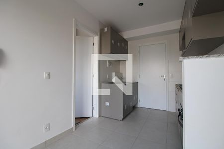 Cozinha de apartamento para alugar com 1 quarto, 28m² em Jardim Caravelas, São Paulo