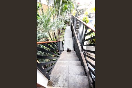 Casa à venda com 590m², 5 quartos e 5 vagas Casa à venda com 590m², 5 quartos e 5 vagasEscada