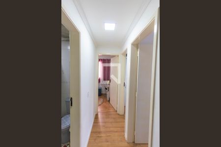 Corredor de apartamento à venda com 3 quartos, 75m² em Vila Pierina, São Paulo