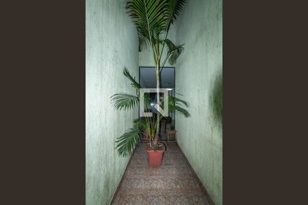 Jardim de Inverno de casa à venda com 4 quartos, 100m² em Vila Carmosina, São Paulo