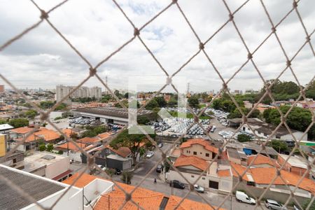 Vista do Quarto 1 de apartamento à venda com 3 quartos, 82m² em Butantã, São Paulo