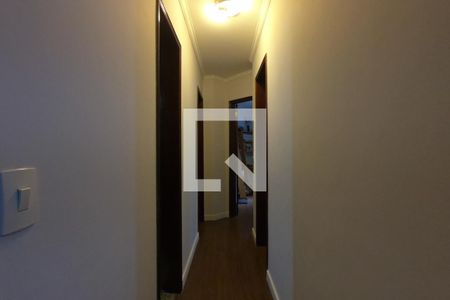 Corredor de apartamento para alugar com 3 quartos, 78m² em Vila Progredior, São Paulo