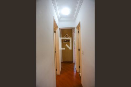 Corredor de apartamento para alugar com 3 quartos, 66m² em Jardim Esmeralda, São Paulo