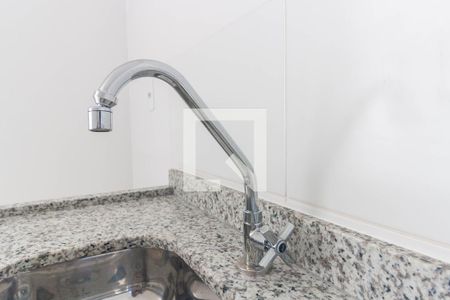 Cozinha - Torneira de apartamento para alugar com 2 quartos, 40m² em Vila Graciosa, São Paulo