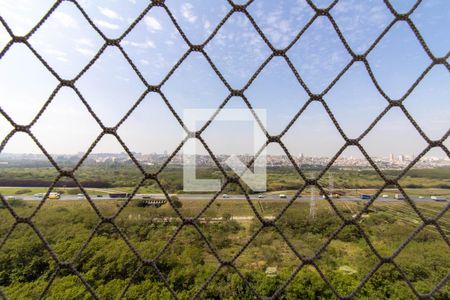 Vista do Quarto 2 de apartamento à venda com 3 quartos, 54m² em Vila Venditti, Guarulhos