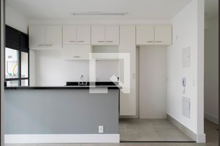 Cozinha de apartamento para alugar com 2 quartos, 50m² em Vila Dom Pedro Ii, São Paulo