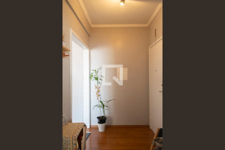 Hall de apartamento à venda com 2 quartos, 97m² em Jardim São Paulo, São Paulo