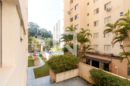 Vista de apartamento para alugar com 1 quarto, 45m² em Pinheiros, São Paulo