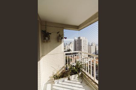 Varanda de apartamento para alugar com 2 quartos, 66m² em Perdizes, São Paulo