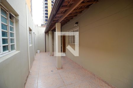 Quintal de casa à venda com 3 quartos, 167m² em Cambuí, Campinas