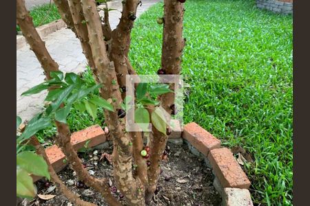 Casa à venda com 3 quartos, 362m² em São Sebastião, Porto Alegre