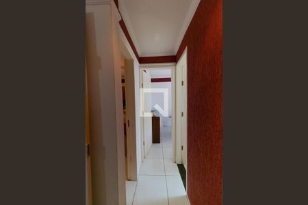 Corredor de apartamento à venda com 2 quartos, 68m² em Vila Padre Manoel de Nobrega, Campinas