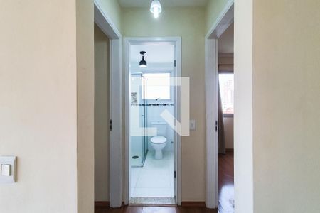 Corredor de apartamento para alugar com 2 quartos, 58m² em Vila Mariana, São Paulo