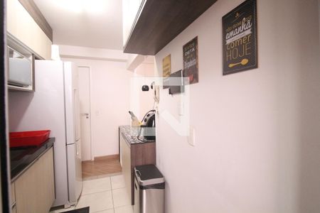 Cozinha  de apartamento para alugar com 2 quartos, 63m² em Casa Verde, São Paulo