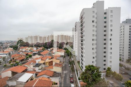 Vista de apartamento à venda com 2 quartos, 78m² em Jardim Íris, São Paulo