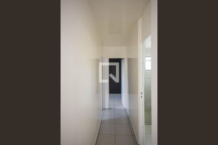 Corredor de apartamento para alugar com 2 quartos, 56m² em Chácara Nossa Senhora do Bom Conselho, São Paulo