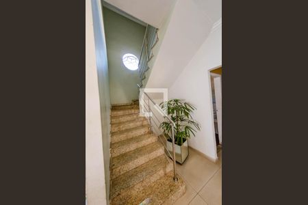 Escada de casa à venda com 4 quartos, 360m² em Dom Bosco, Belo Horizonte