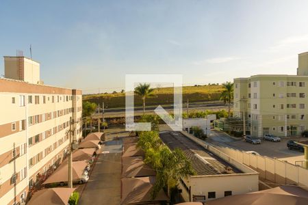 Vista da Sala de apartamento à venda com 2 quartos, 48m² em Jardim Nova Europa, Campinas