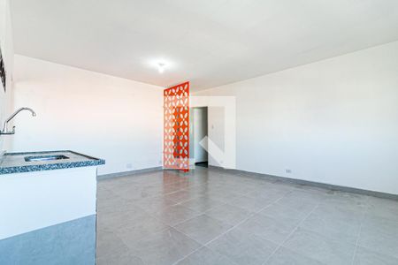 Sala/Cozinha/Quarto de casa para alugar com 1 quarto, 45m² em Penha de França, São Paulo