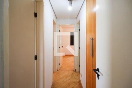 Corredor  de apartamento para alugar com 3 quartos, 97m² em Indianópolis, São Paulo