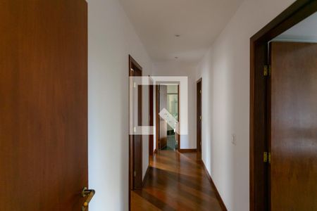 Corredor de apartamento para alugar com 4 quartos, 154m² em Serra, Belo Horizonte