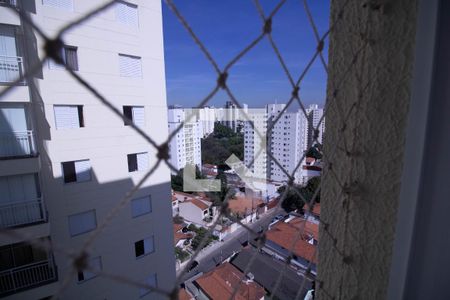 Vista do Quarto 1 de apartamento para alugar com 3 quartos, 75m² em Vila Monte Alegre, São Paulo