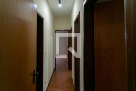 Corredor de apartamento para alugar com 4 quartos, 150m² em Santo Antônio, Belo Horizonte