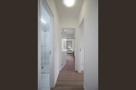 Corredor de apartamento para alugar com 2 quartos, 50m² em Vila Andrade, São Paulo