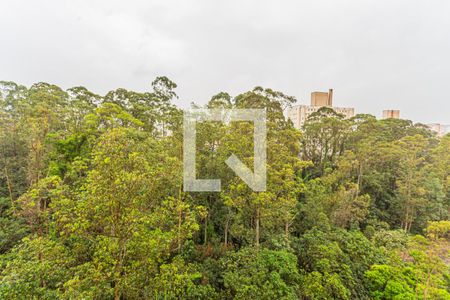 Vista do Quarto 1 de apartamento para alugar com 2 quartos, 48m² em Parque São Vicente, Santo André