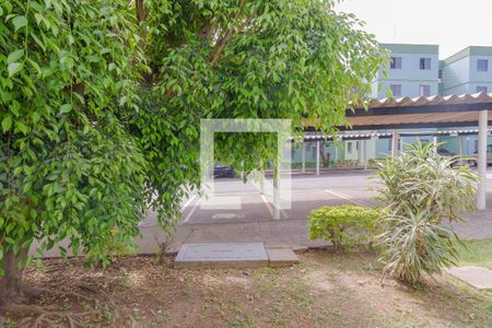 Vista do Quarto 1 de apartamento à venda com 2 quartos, 50m² em Cidade Satélite Íris, Campinas