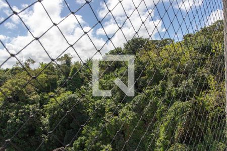 Vista da Varanda de apartamento para alugar com 2 quartos, 54m² em Parque Bela Vista, Salvador