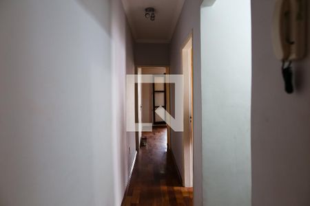 Corredor de casa à venda com 3 quartos, 150m² em Vila Curuca, Santo André