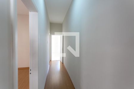 Corredor de apartamento para alugar com 3 quartos, 110m² em Santo Antônio, Belo Horizonte