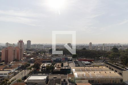 Vista da Varanda da Sala de apartamento para alugar com 2 quartos, 52m² em Vila Vera, São Paulo