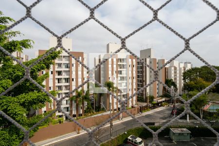 Vista do Quarto 1 de apartamento à venda com 2 quartos, 56m² em Vila Amélia, São Paulo