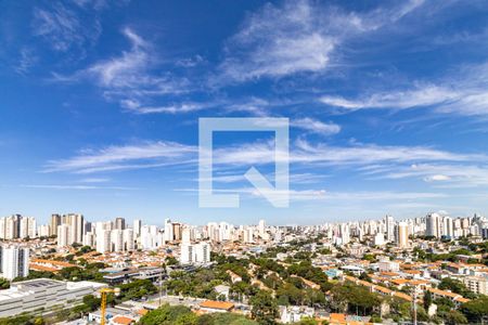 Varanda da Sala - Vista de apartamento para alugar com 3 quartos, 147m² em Jardim Vila Mariana, São Paulo