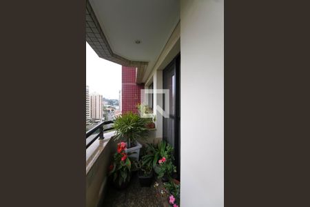 Varanda da Sala de apartamento à venda com 4 quartos, 141m² em Jardim Avelino, São Paulo