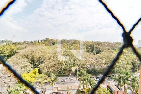 Vista da Varanda de apartamento para alugar com 3 quartos, 76m² em Jardim Vazani, São Paulo