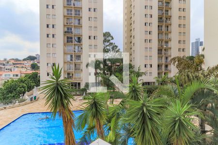 Vista da Varanda da Sala de apartamento para alugar com 2 quartos, 50m² em Jardim Aeroporto, São Paulo