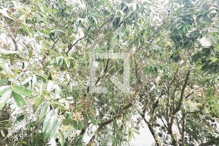 Apartamento à venda com 68m², 3 quartos e 1 vaga Apartamento à venda com 68m², 3 quartos e 1 vagaQuarto 2